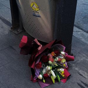 能不能（温柔女版）