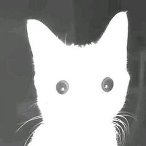 Cassette Deck (slowed)