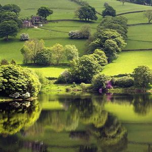 理想三旬(时光版)