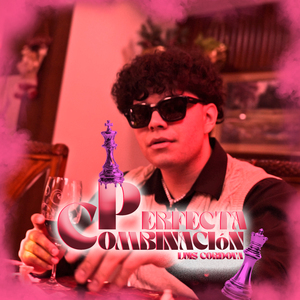 Perfecta Combinación