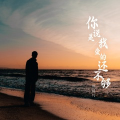 你说是我爱的还不够