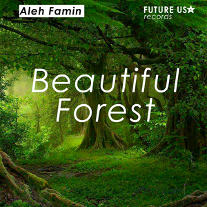 Beautiful forest