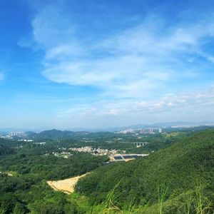你的记忆