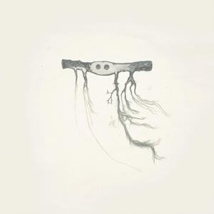 mystery life