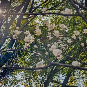 再见是为了再见