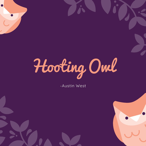 Hooting Owl