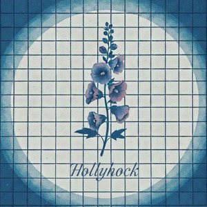 Hollyhock