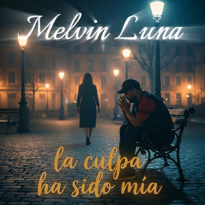 La culpa ha sido mía