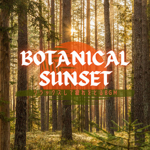 Shadows Enveloping Comfort