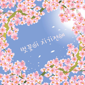 벚꽃이 지기전에