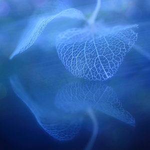 阿尔法脑波音乐 提升专注力