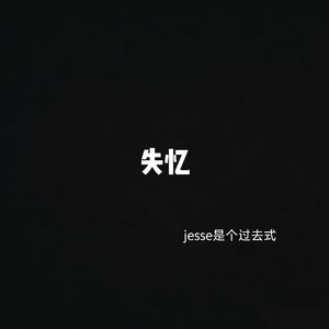后续没有后续