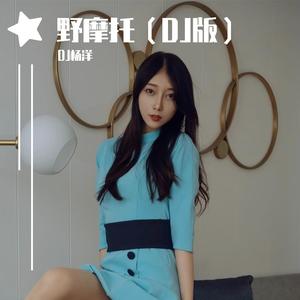 野摩托（DJ版）