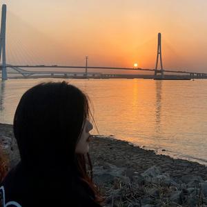 给电影人的情书