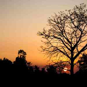 流风回雪 (竖琴曲)