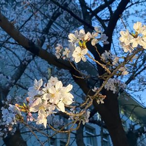 回到拥抱你的初春