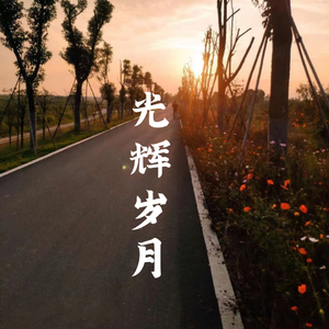 光辉岁月