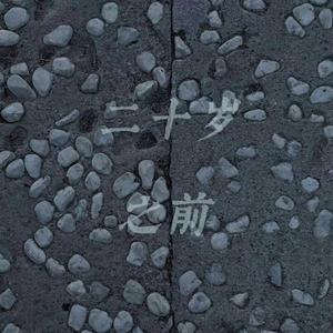 二十岁之前(Prod EVOMUSIC )