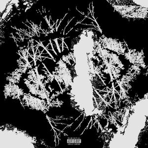 Passion Fruit* (feat. se)