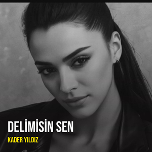 Delimisin Sen