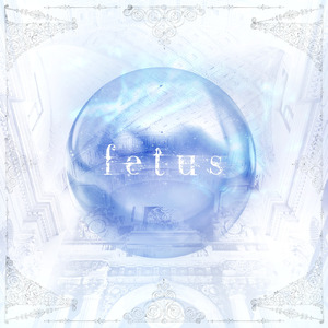 fetus