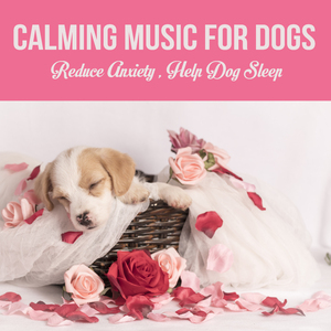 Standing at the Door