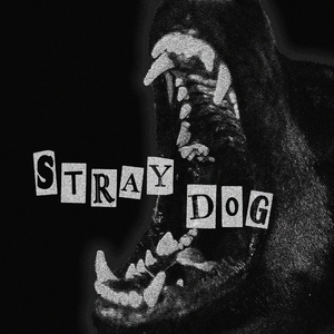 Stray Dog