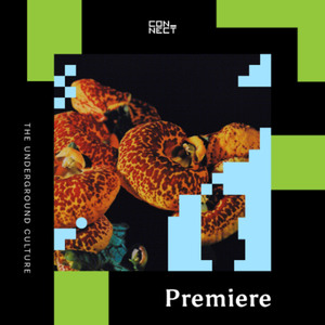 PREMIERE: AFFKT - Mapa  [Flores]