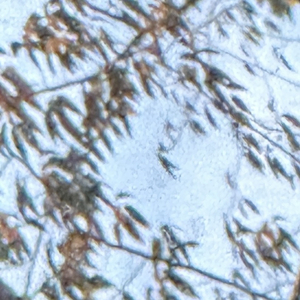 我愿意（feat.Cityboinoluv）