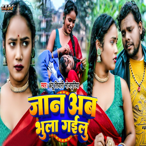 Jaan Ab Bhula Gailu