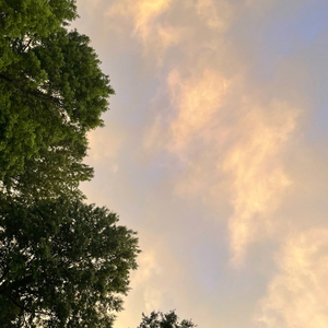 losing my mind (feat. tommii)