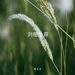 剑穗悬霜 伴奏