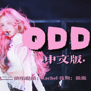 ODD 中文版