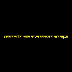 তোমার লাইগা পরান কান্দে মন বসে না ঘরে বন্ধুরে