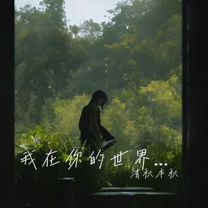 我在你的世界消失了