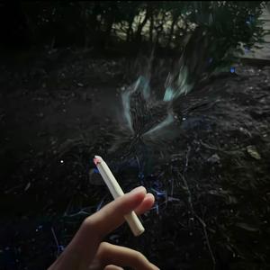 我的歌声里 (伴奏)