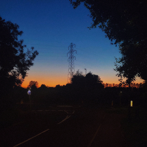 A Blissful Field of Pylons
