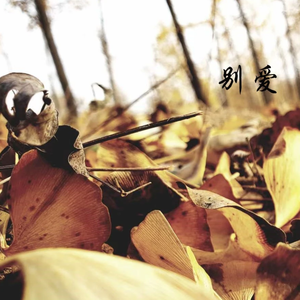别爱
