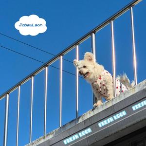 앞으로 지나가 걸어야 해 - You Have to Walk Forward