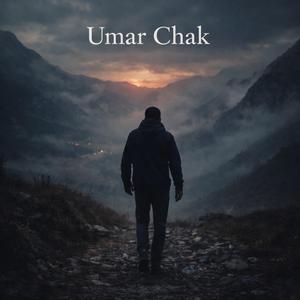 Тихая гавань