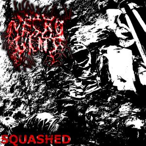 Squashed (2024)