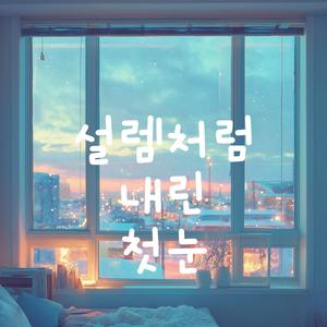 설렘처럼 내린 첫눈