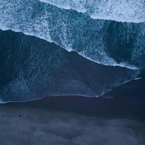 世界本是一片白