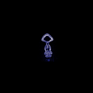 Strangers in the Night