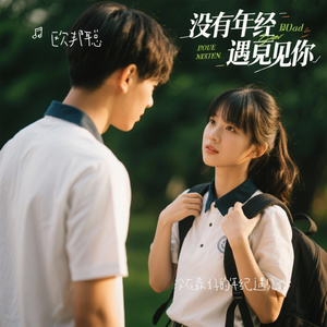 没在最好的年纪遇见你