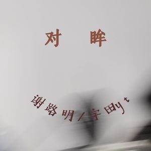 对眸
