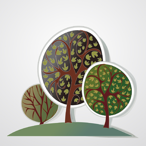 それは僕たちの奇跡 (Originally Performed by μ's 「ラブライブ! School idol project」より)