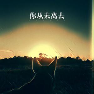 你从未离去