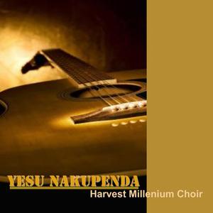 Ni Nani Aliye Kipofu