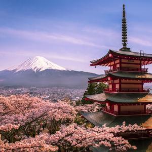 花（翻自 V.A.）